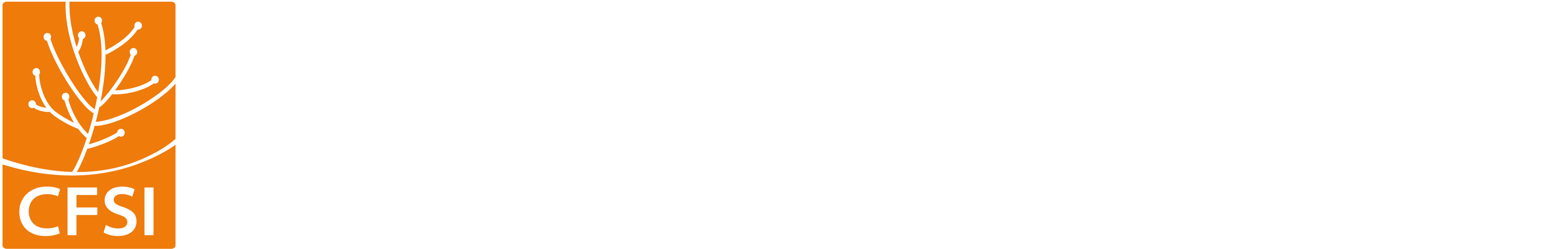 Comité Français pour la Solidarité Internationale (CFSI)